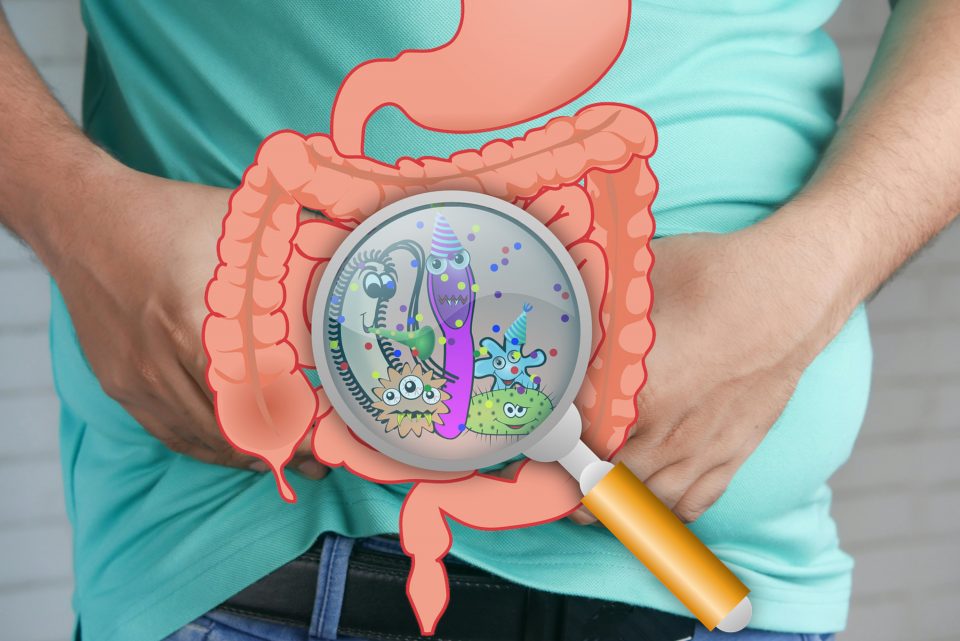 SIBO IMO LIBO y SIFO ¿Qué son estos "palabros"? farmaciapenadesalcoy