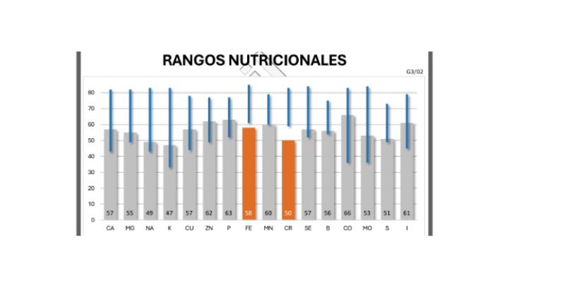 Rangos nutricionales representados con diagrama de barras fácilmente comprensible